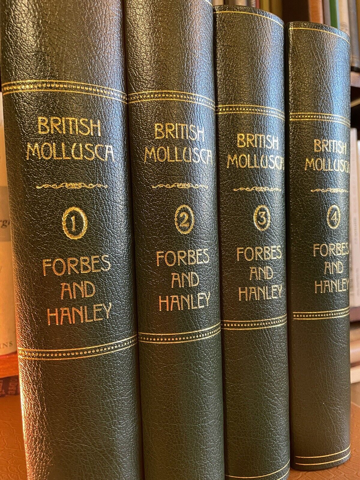 1853 History of British Mollusca and Their Shells : Forbes & Hanley (4 Volumes)