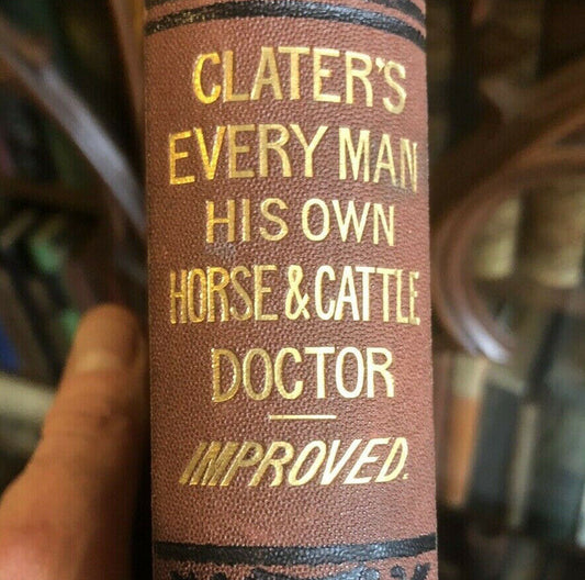 c1890 Every Man his own Horse and Cow Doctor - Diseases in Sheep : Farming