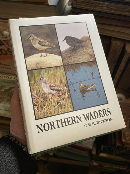 Northern Waders : G.W.R. Dickson : Caliologist Series No 9 : Ornithology