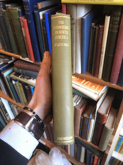 The STRAWBERRY in NORTH AMERICA - History Origin Botany and Breeding 1917