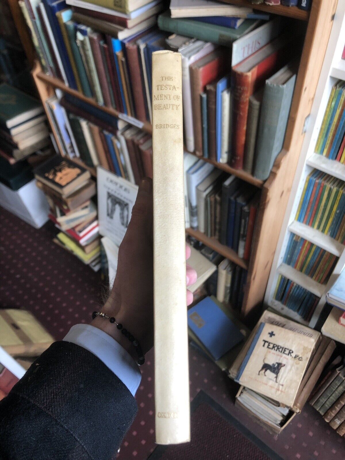 A Testament of Beauty - Robert Bridges (Poet Laureate) - Clarendon Press 1930