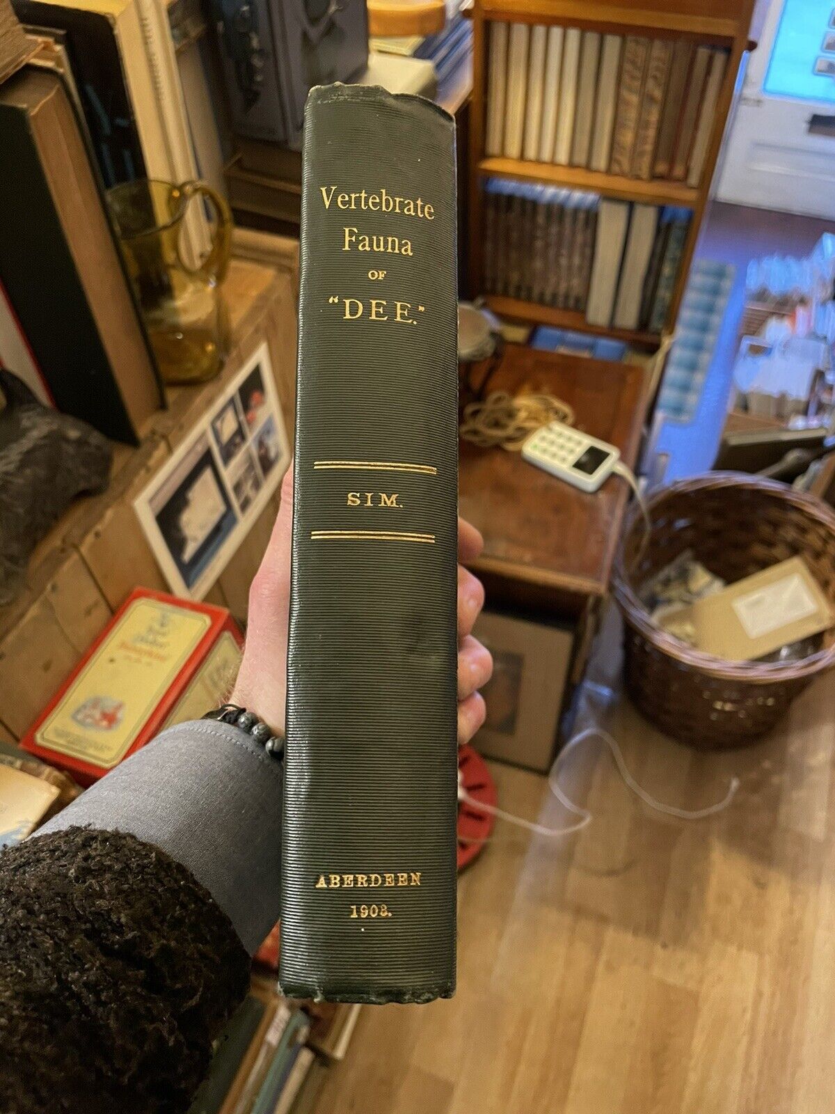 1903 VERTEBRATE FAUNA OF DEE George Sim  SCOTLAND COAST FISHES Aberdeenshire