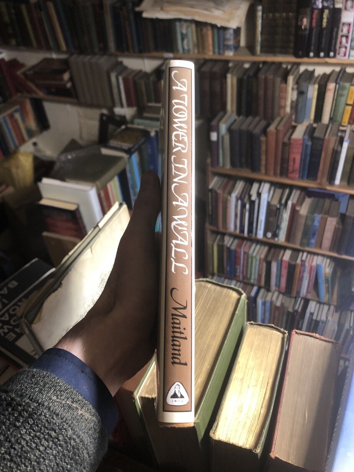 A Tower in a Wall : Conversations with Dame Freya Stark : Alexander Maitland