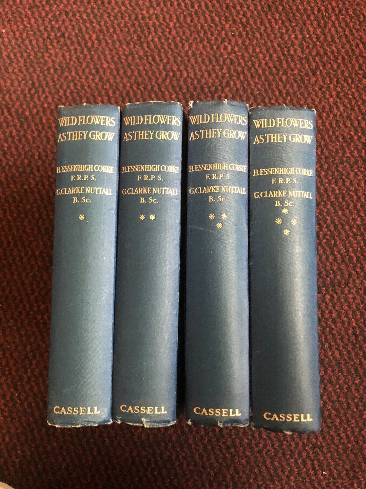 1912 Wild Flowers and How They Grow (4 Volumes) Colour Plates - Essenhigh Corke