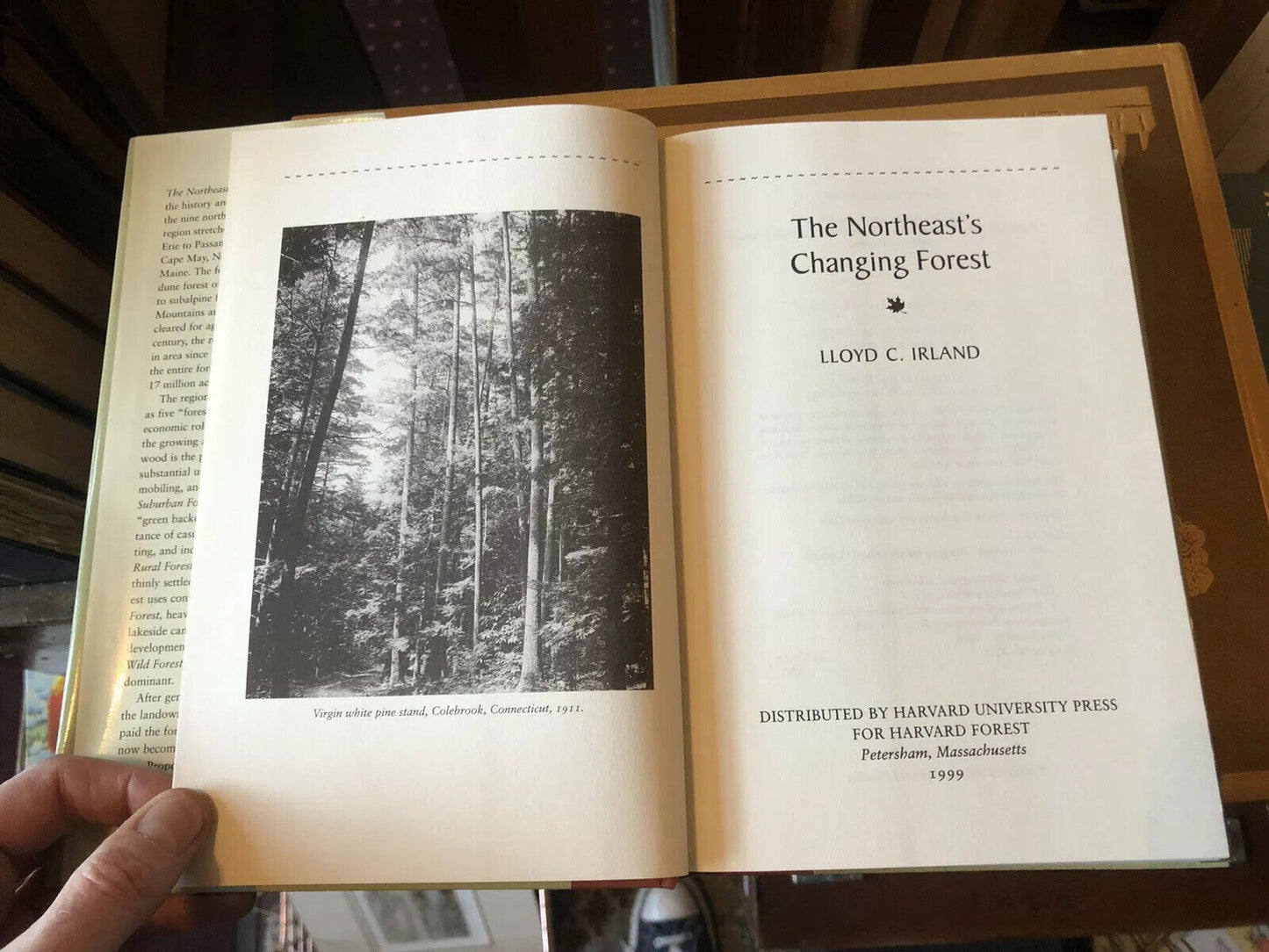 NORTHEAST'S CHANGING FOREST (North America) WOODLAND ECOLOGY Harvard University