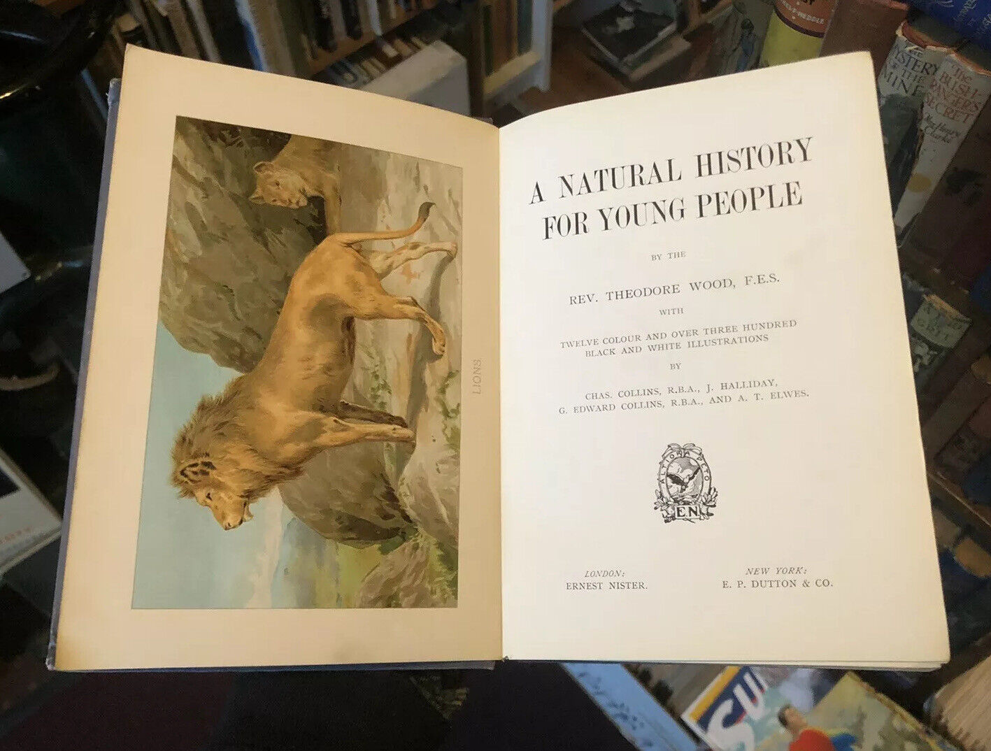 Wood's A Natural History For Young People (300 illustrations) Colour Plates 1909