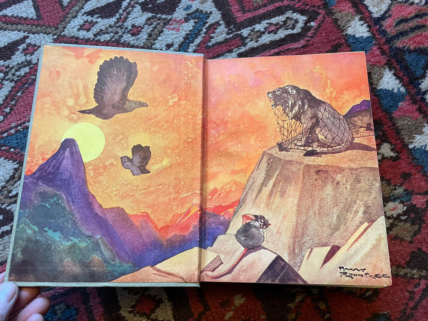 AESOP'S FABLES : 48 Colour Illustrations : HARRY ROUNTREE : Ward Lock c1920s