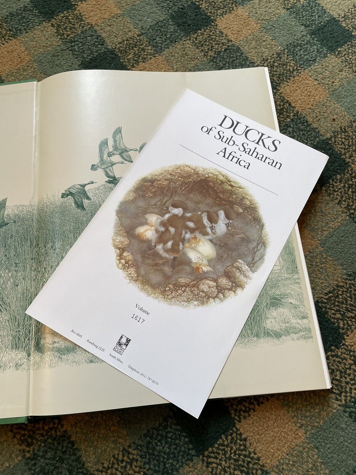 Maclean & Darroll's Ducks of Sub-Saharan Africa : Ltd Ed Folio : Ornithology