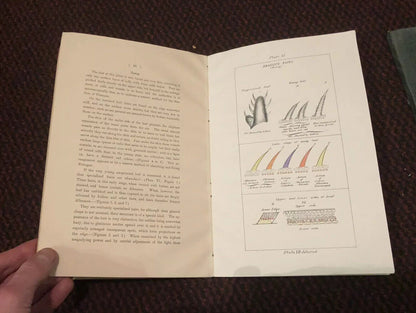 1905 Utilisation of Nitrogen in the Air by Plants (2 Vols) Agricultural Research
