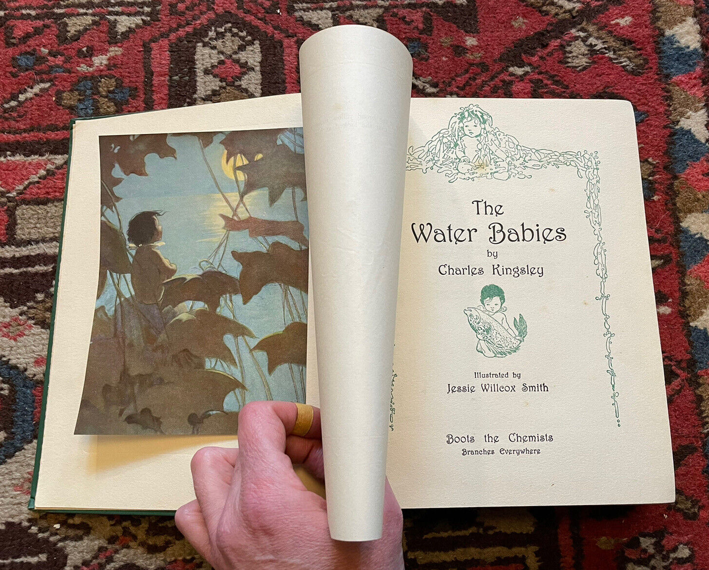 1919 The Water Babies (12 Colour Plates) Jessie Willcox Smith : Charles Kingsley