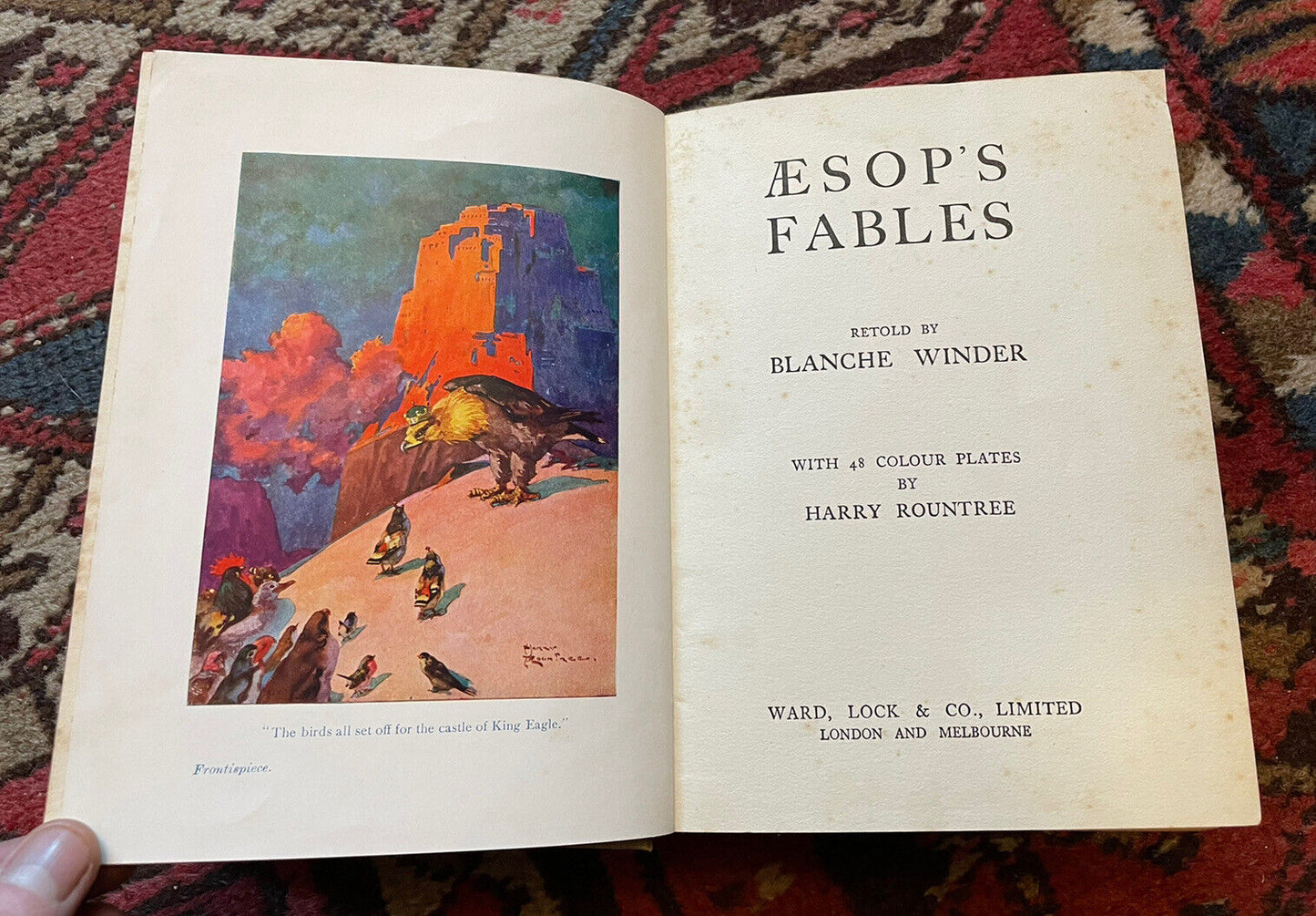 AESOP'S FABLES : 48 Colour Illustrations : HARRY ROUNTREE : Ward Lock c1920s