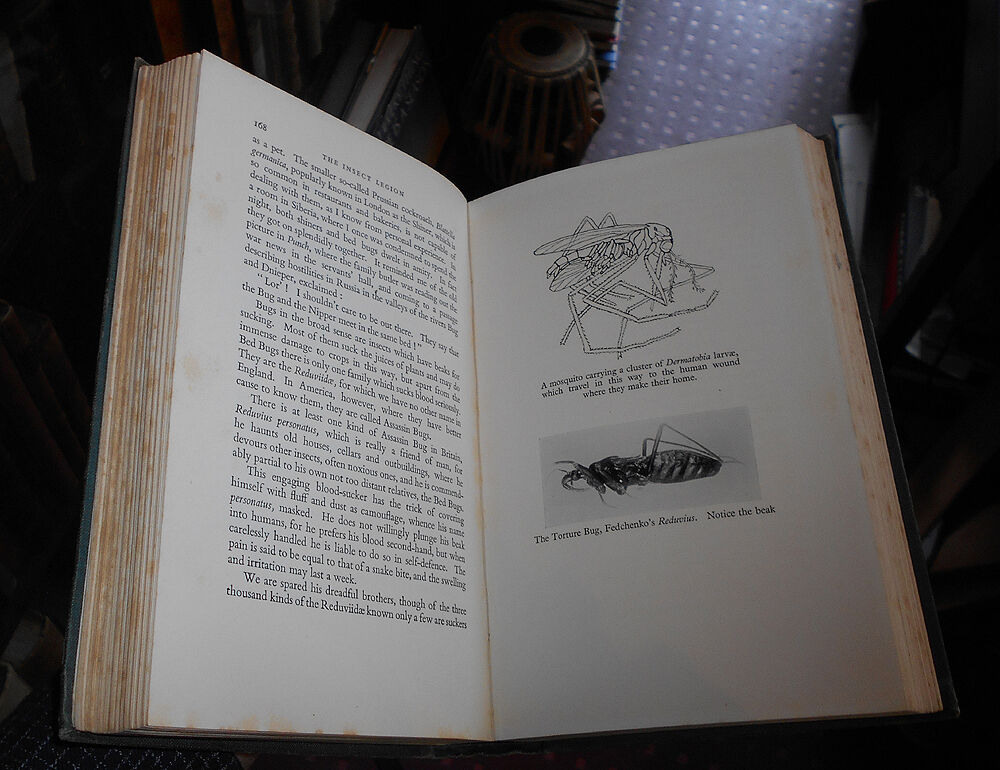 1939 The Insect Legion / Entomology / Study Insects / Natural History / Swarms