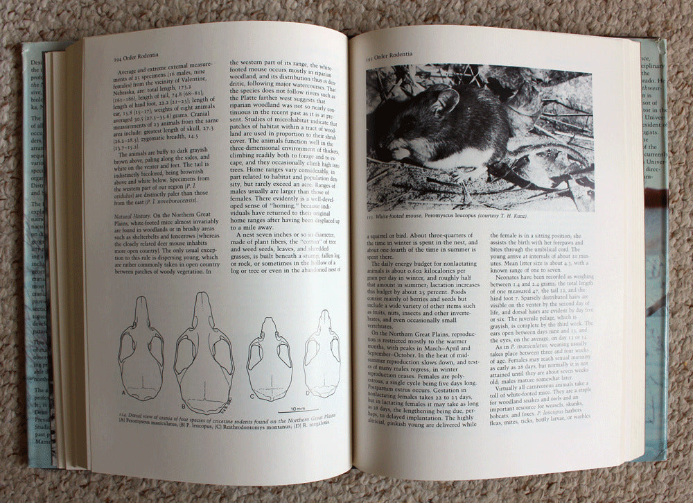 Mammals of the Northern Great Plains - First Edition - 1983