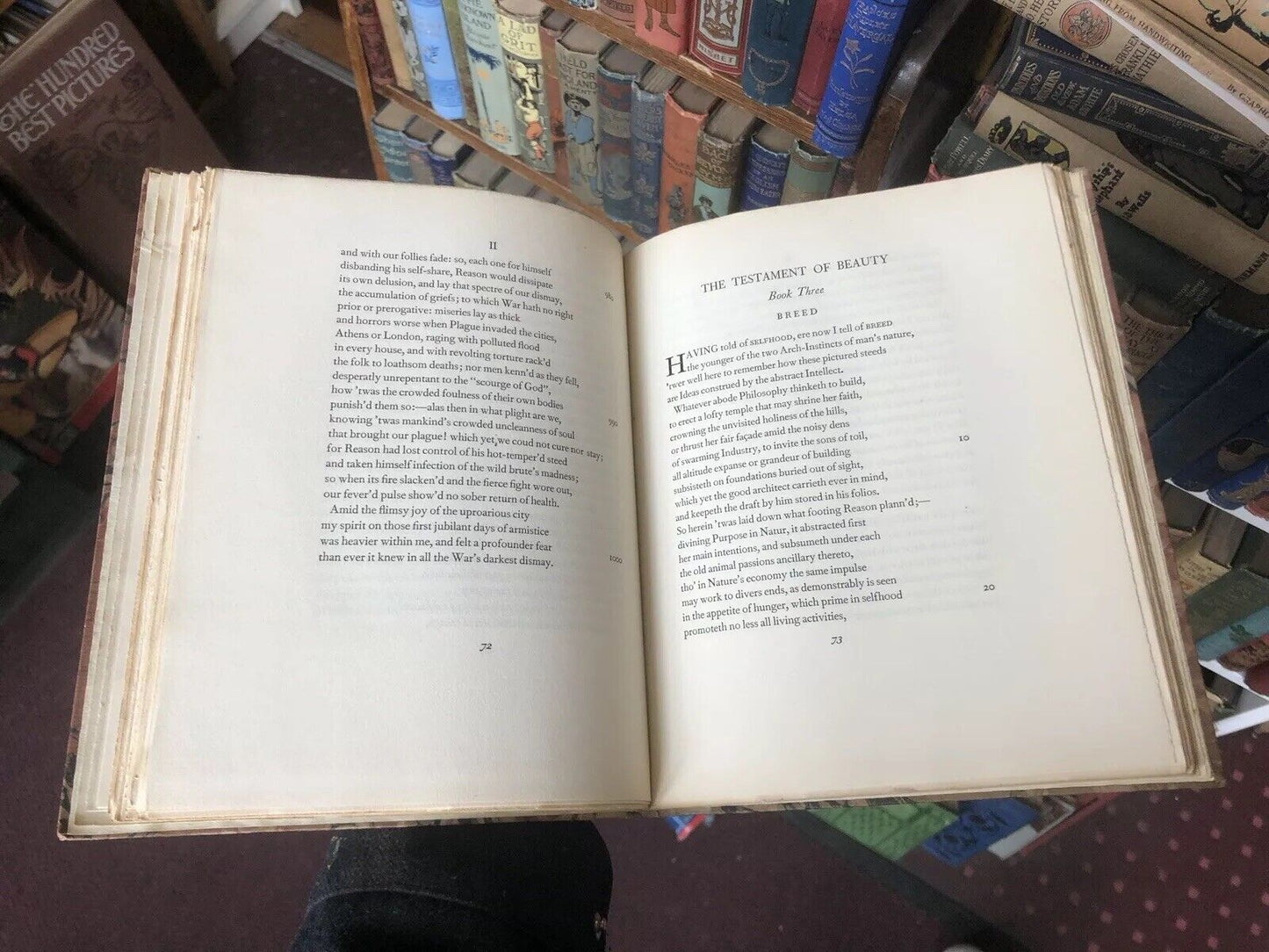 A Testament of Beauty - Robert Bridges (Poet Laureate) - Clarendon Press 1930