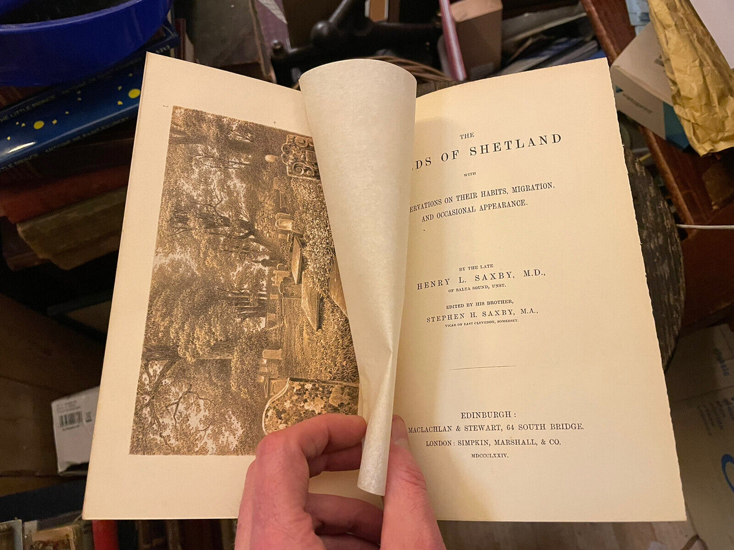 The Birds Of Shetland by Henry L Saxby  : Ornithology Scotland : 1st Ed 1874