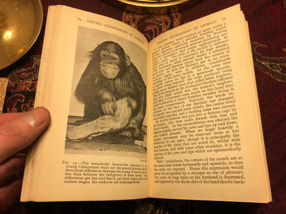 1934 Charles Darwin : Expression of Emotions in Man and Animals THINKERS LIBRARY