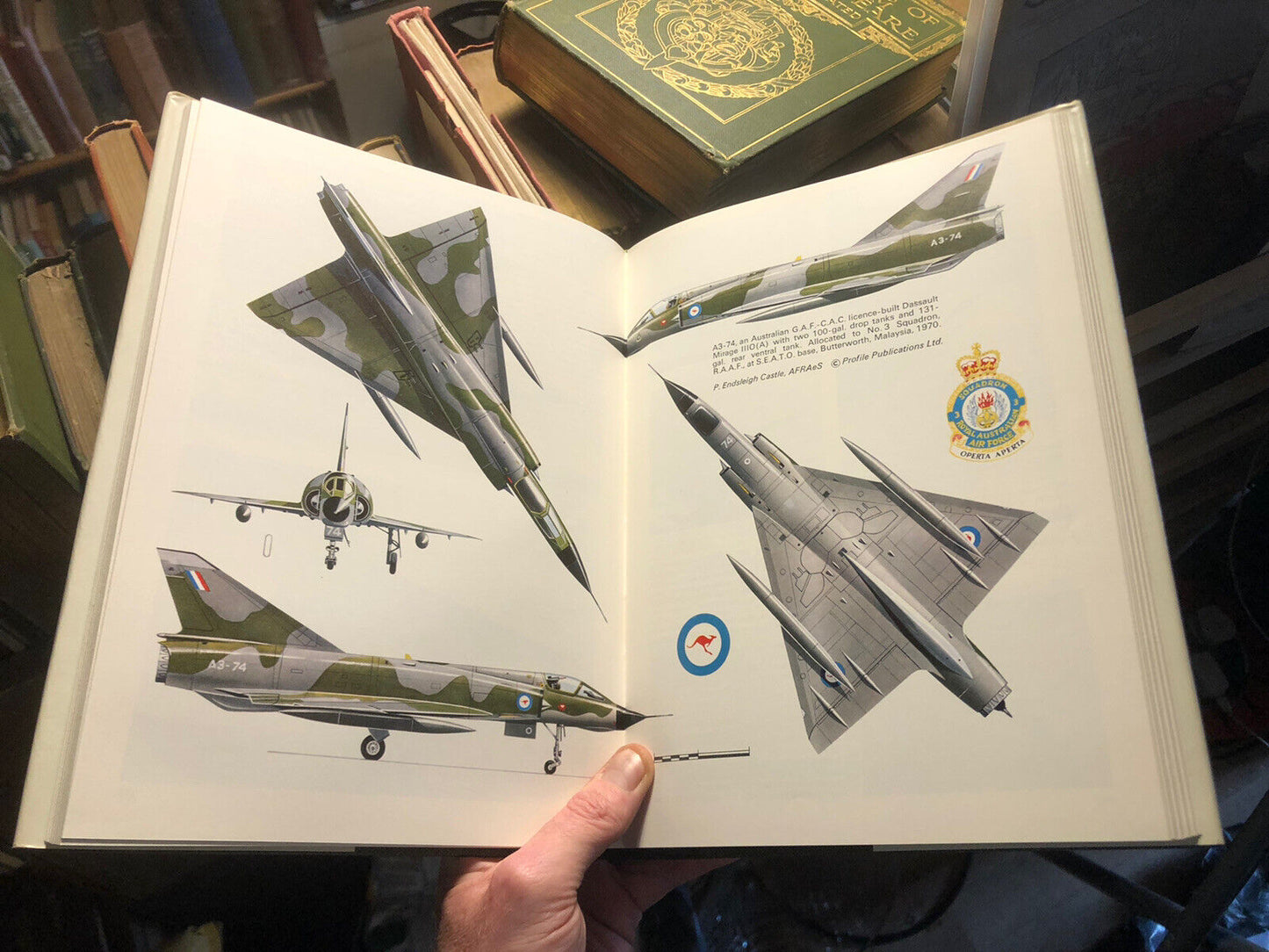Aircraft in Profile (Volume 11) : Military Air Force : Charles W Cain 1971