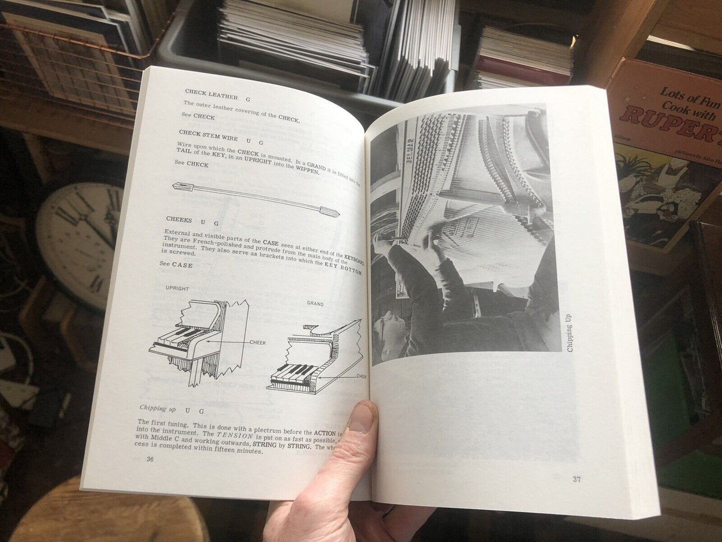 The Anatomy of the Piano : Herbert Shead : Technical Book Construction Parts etc