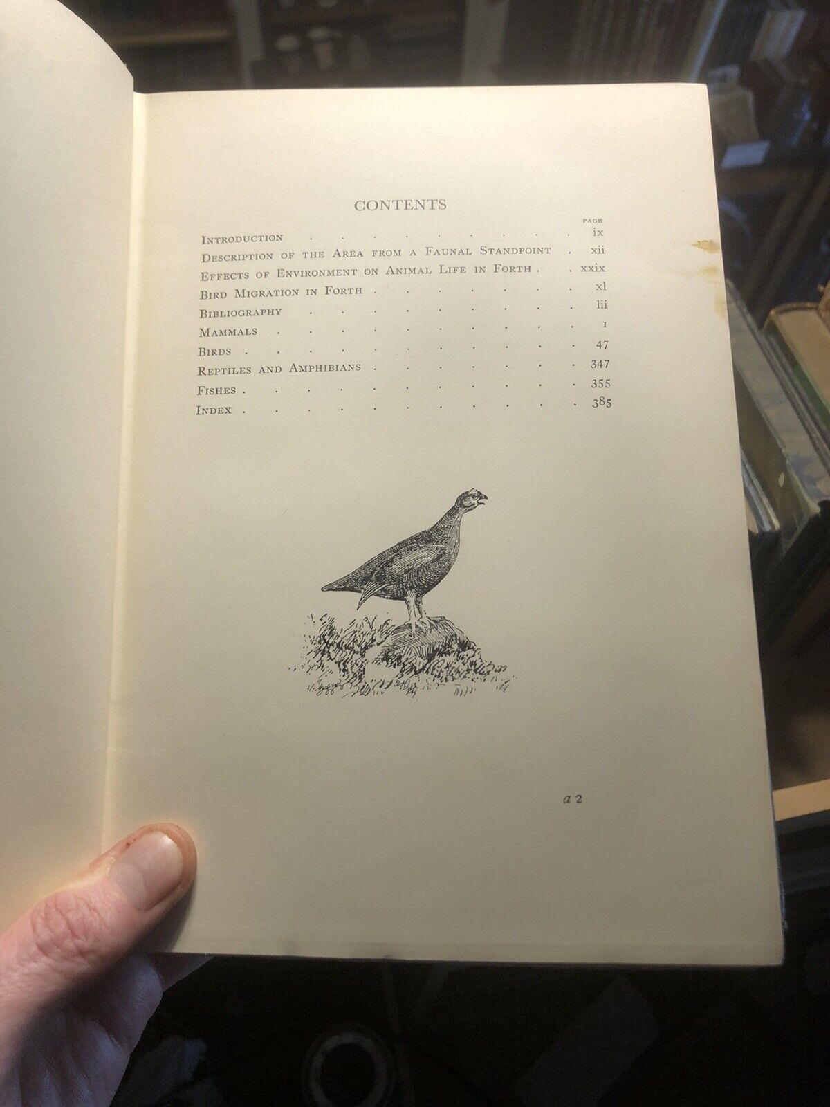 Vertebrate Fauna of the Forth : Rintoul &amp; Baxter : Natural History : Ornithology