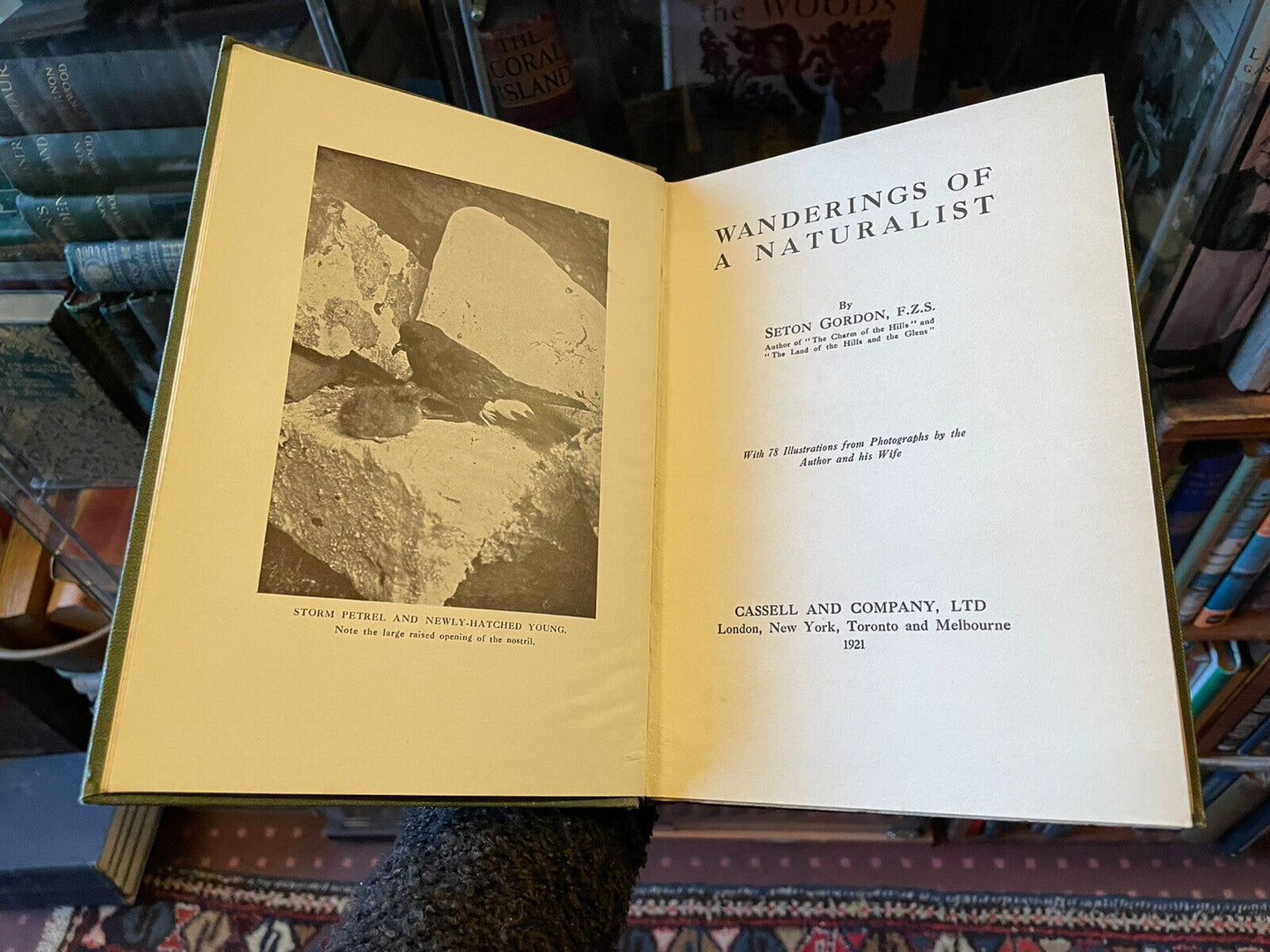 Wanderings of a Naturalist : Seton Gordon : Highlands and Islands Scotland 1912