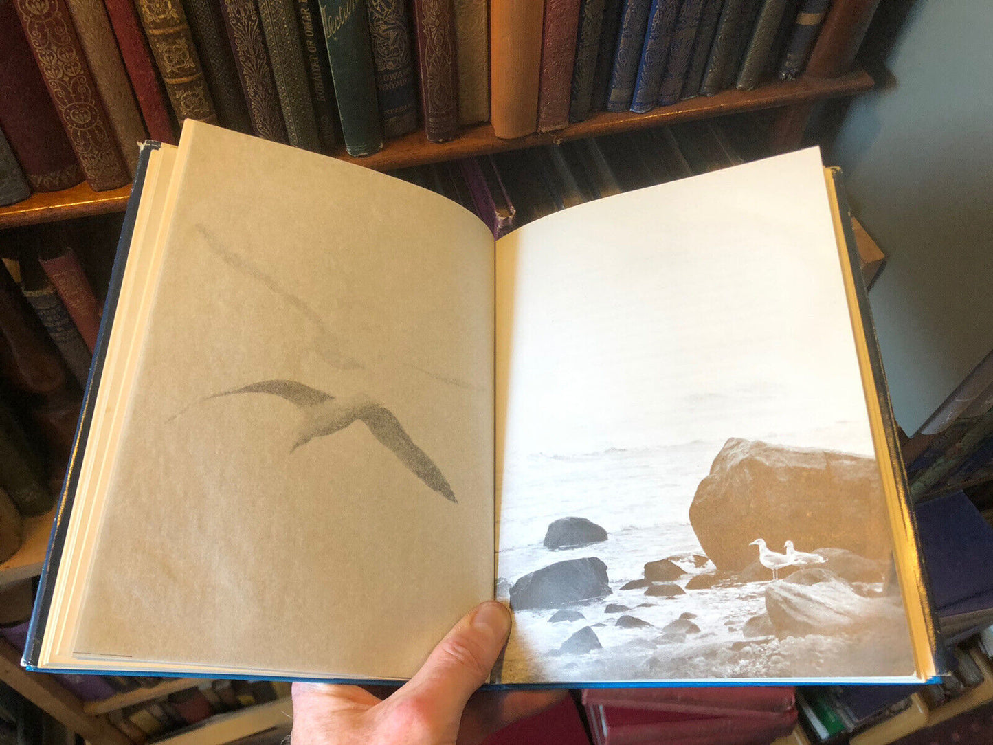 1973 Richard Bach : Jonathan Livingston Seagull : A Story (Fifth Printing) HB DW
