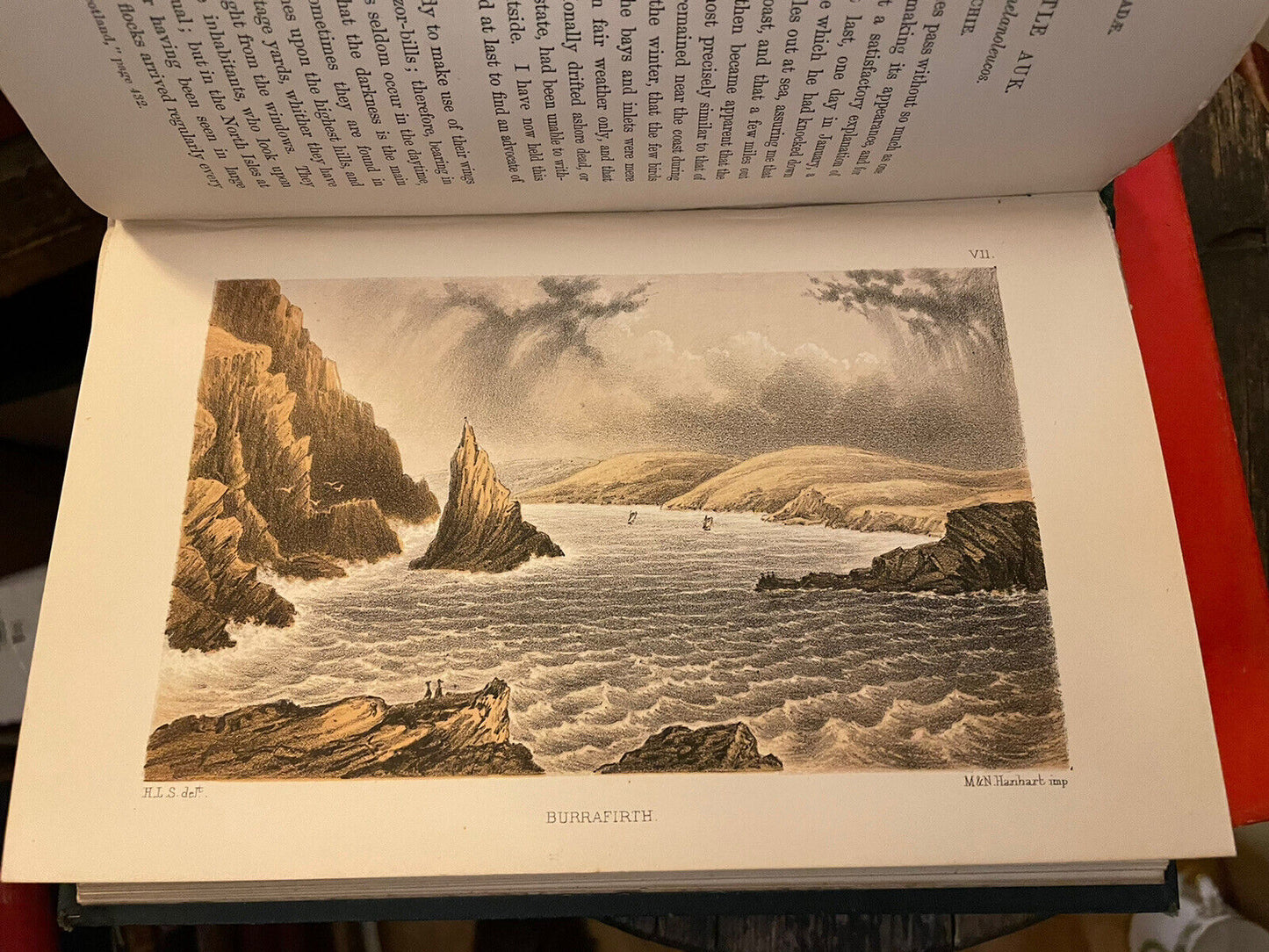 The Birds Of Shetland by Henry L Saxby  : Ornithology Scotland : 1st Ed 1874