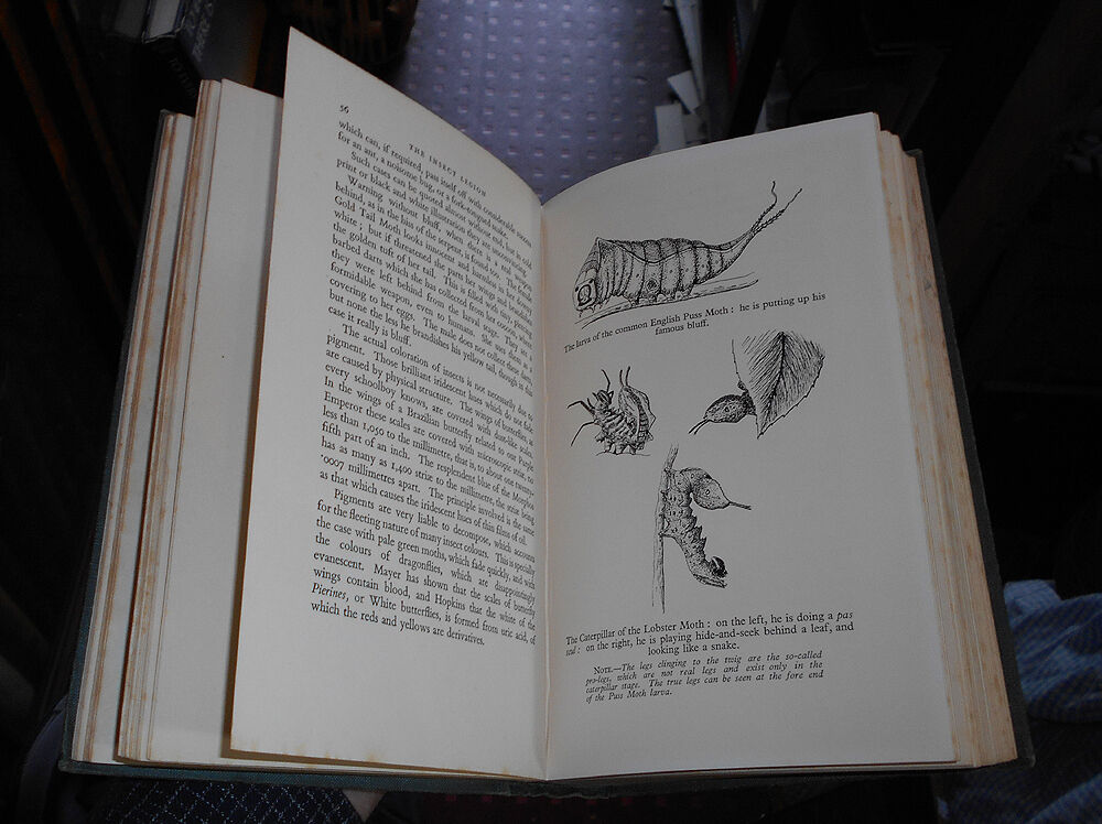 1939 The Insect Legion / Entomology / Study Insects / Natural History / Swarms