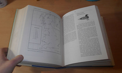 Wildfowl in Great Britain - Ornithology - BIRD RINGING - Conservation - 1986