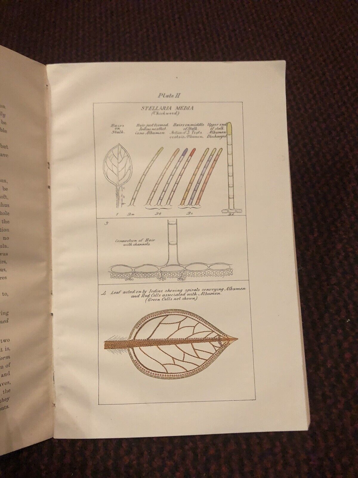 1905 Utilisation of Nitrogen in the Air by Plants (2 Vols) Agricultural Research