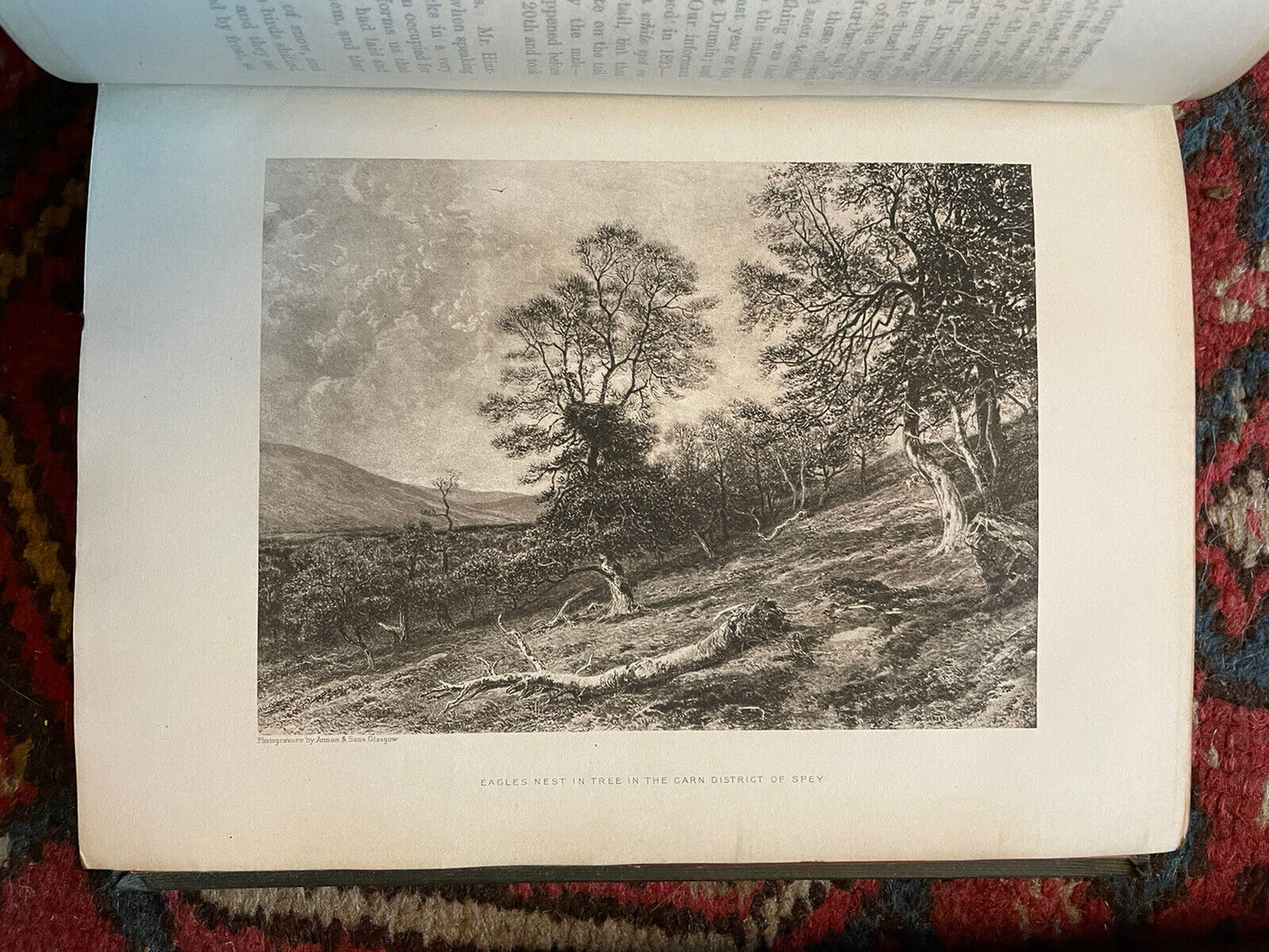 1895 A Fauna of the Moray Basin : Harvie-Brown & Buckley : Scotland Nature