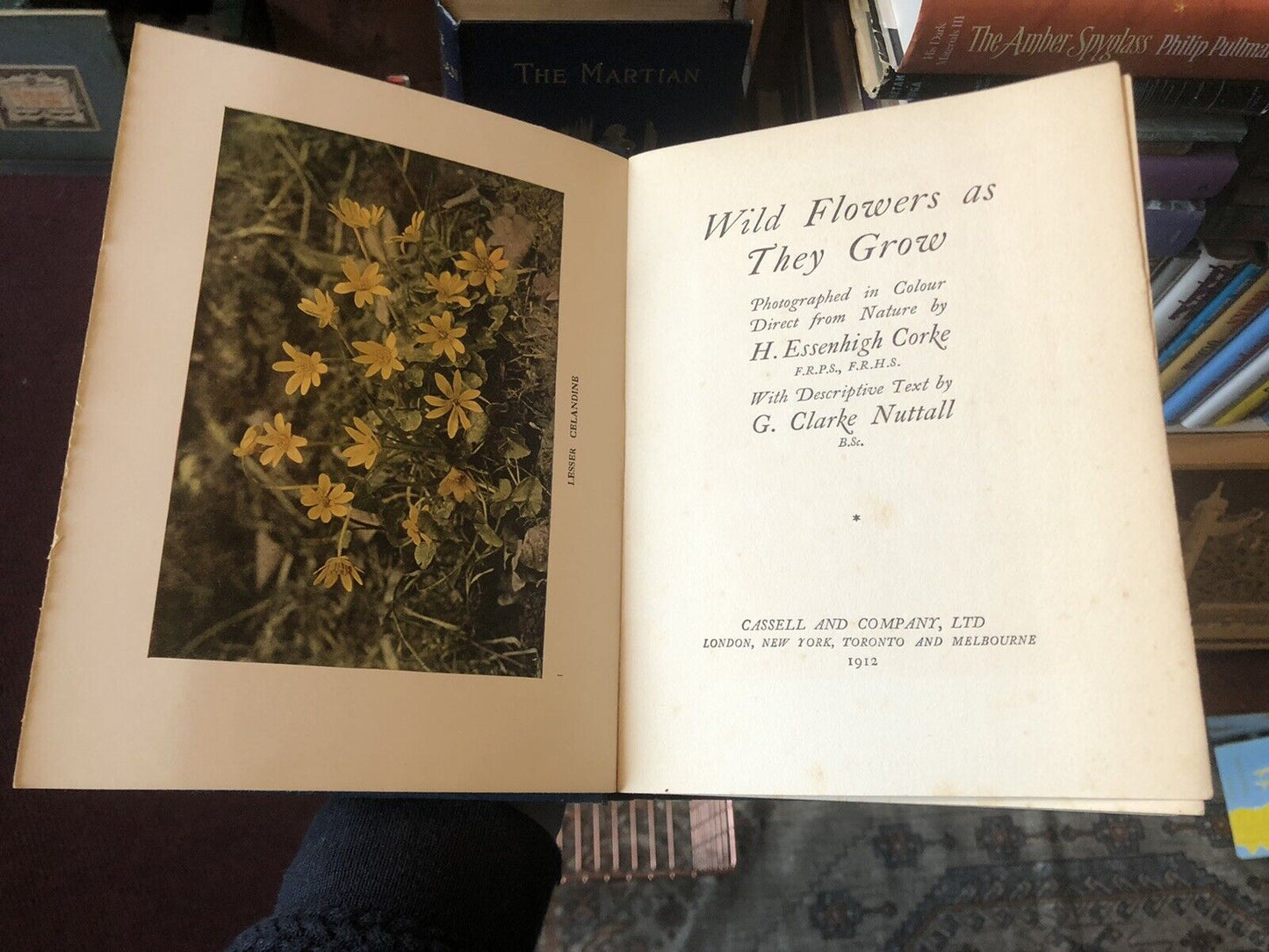 1912 Wild Flowers and How They Grow (4 Volumes) Colour Plates - Essenhigh Corke