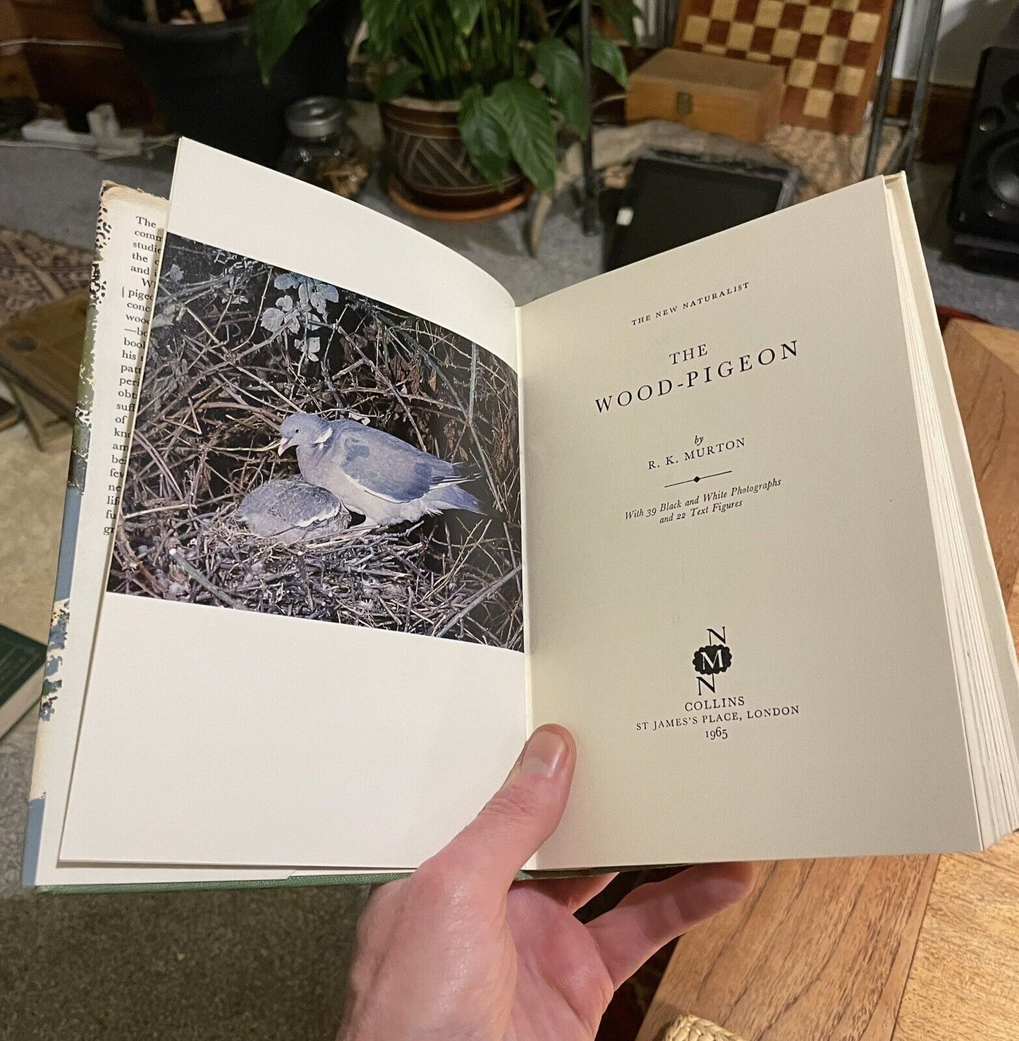 The Wood Pigeon : New Naturalist Monograph No. 20 ( NN ) R K Murton VGC 1965