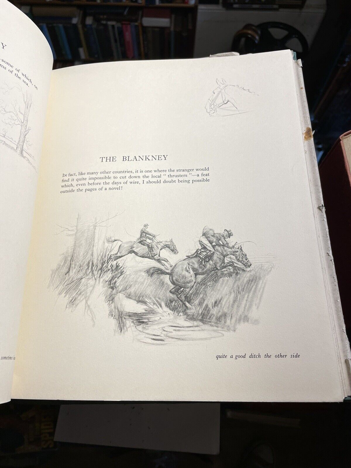 1937 Seen from the Saddle : Lionel Edwards : Wonderful Horse Illustrations 1st