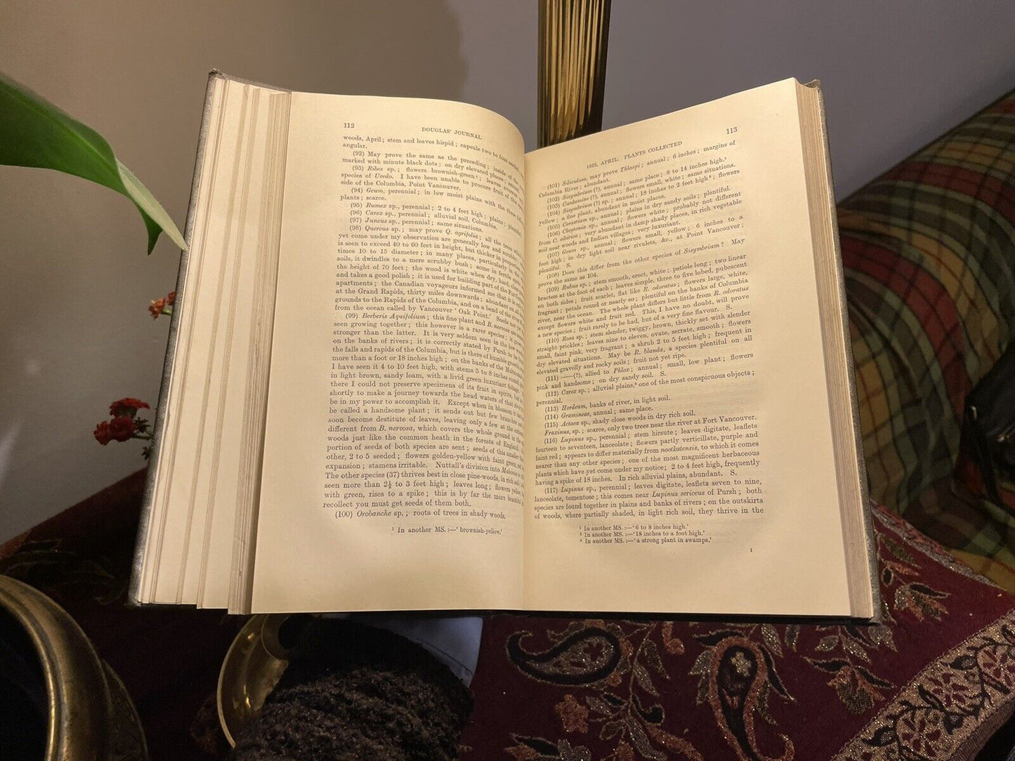 Journal of David Douglas Travels in North America 1823-1827  Plant Hunting 1914