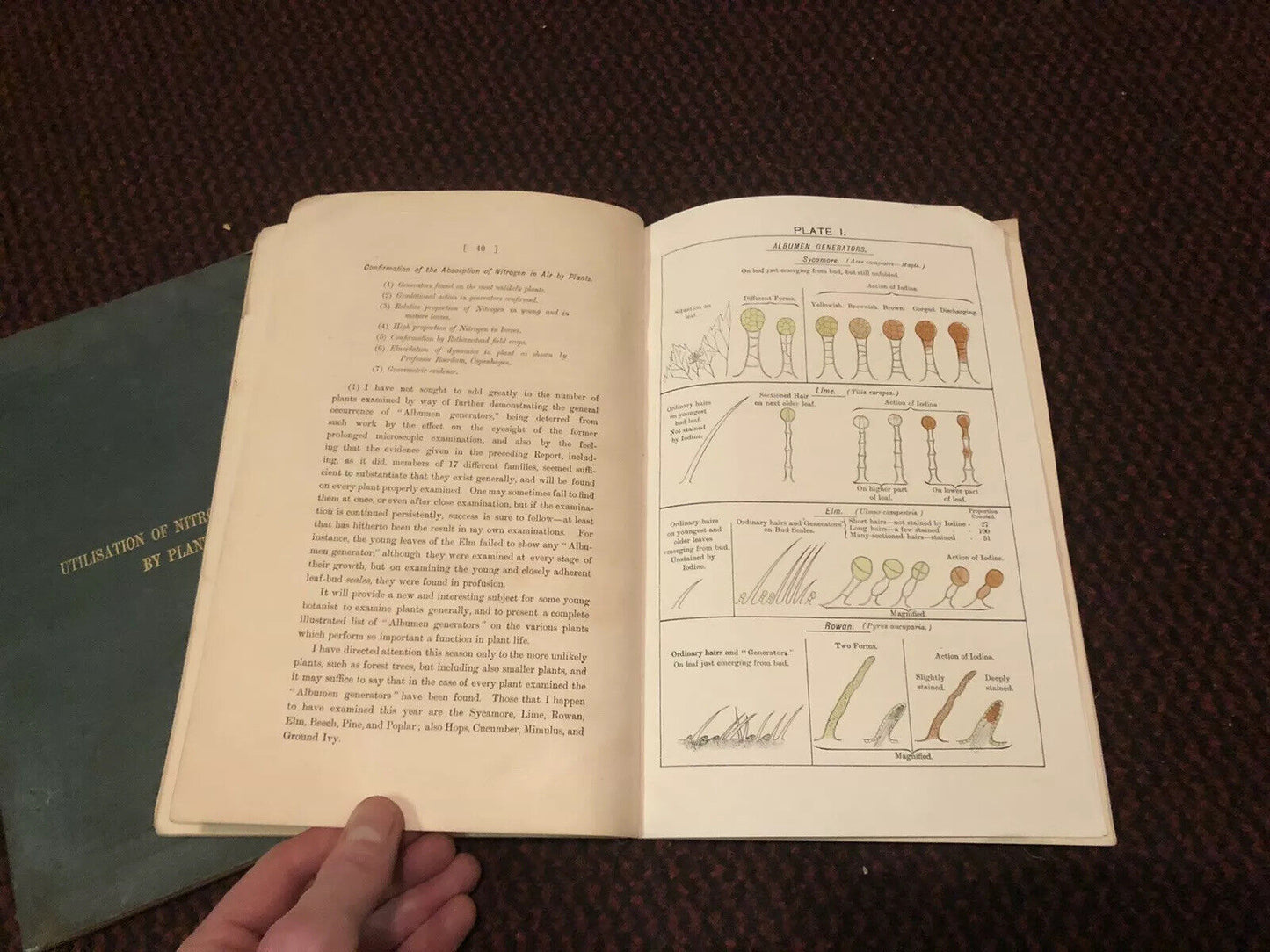 1905 Utilisation of Nitrogen in the Air by Plants (2 Vols) Agricultural Research