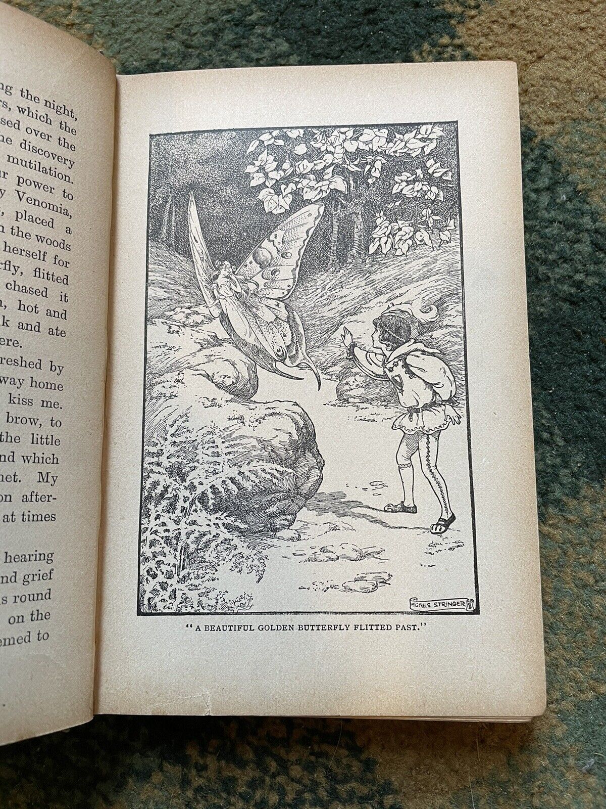The Ivory Mouse : A Book of Fairy Tales : Stanhope E. Ward : Illustrated 1909