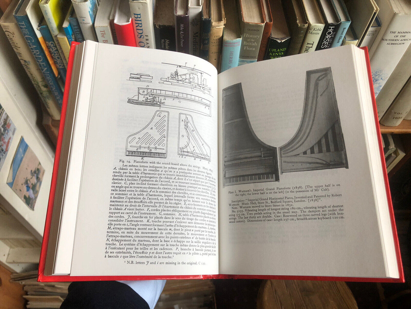 The Piano-Forte : Its History Traced to the Great Exhibition of 1851 : Harding