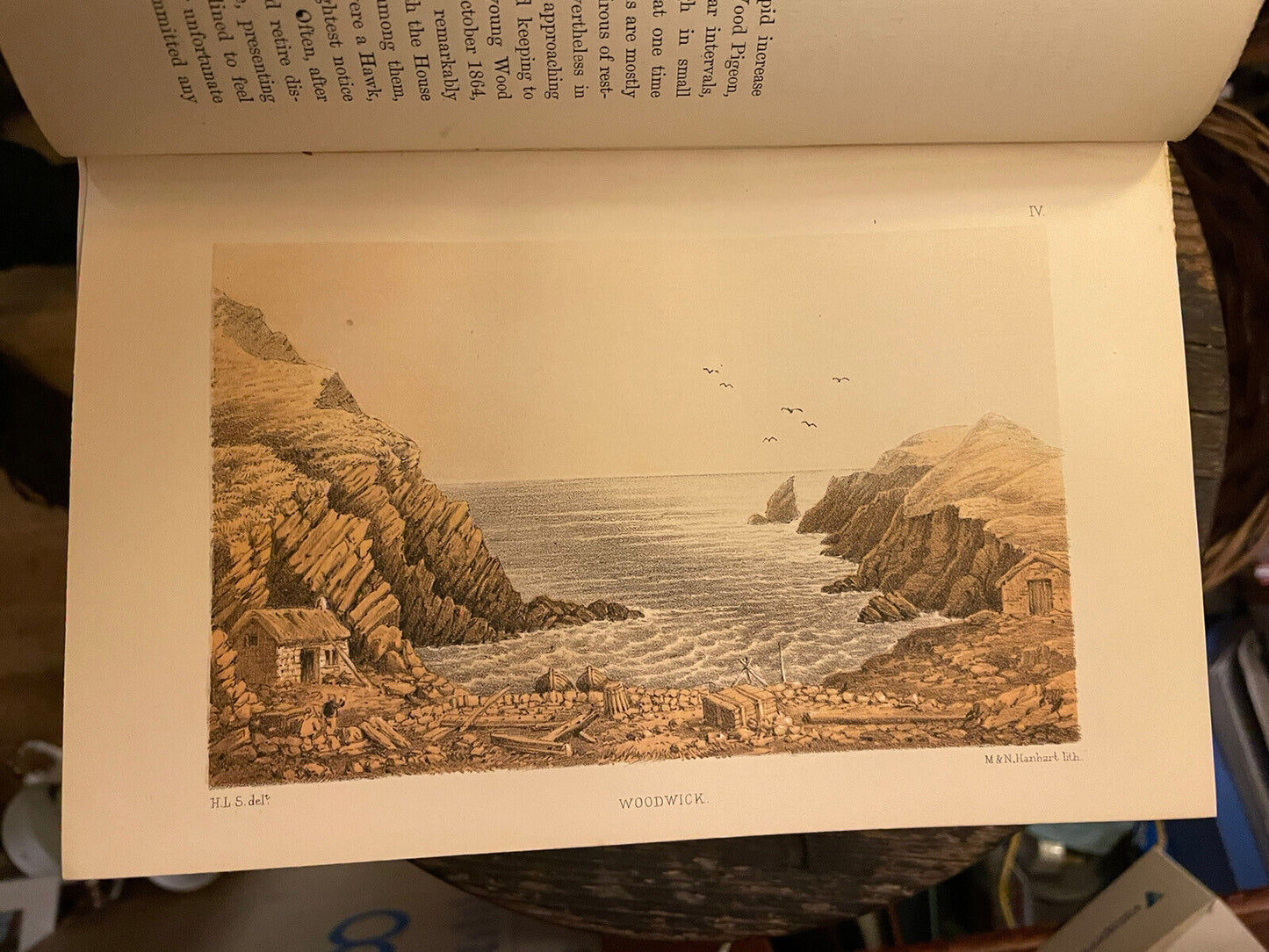 The Birds Of Shetland by Henry L Saxby  : Ornithology Scotland : 1st Ed 1874