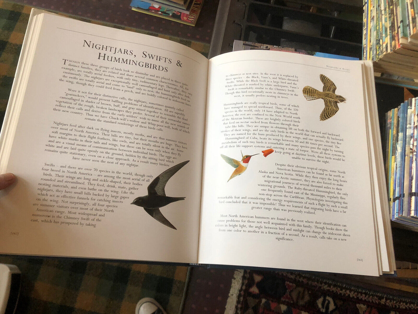 BIRDS OF AMERICA Frank Shaw : 520 Species Featured ORNITHOLOGICAL ARTISTS