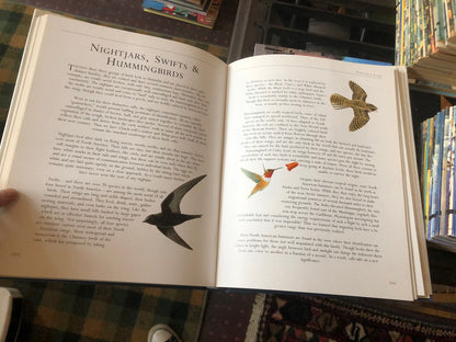 BIRDS OF AMERICA Frank Shaw : 520 Species Featured ORNITHOLOGICAL ARTISTS