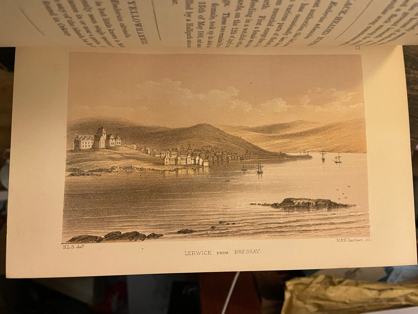 The Birds Of Shetland by Henry L Saxby  : Ornithology Scotland : 1st Ed 1874