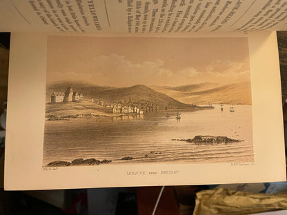 The Birds Of Shetland by Henry L Saxby  : Ornithology Scotland : 1st Ed 1874