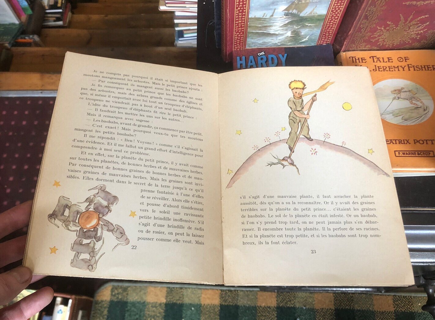 Le Petit Prince : Antoine de Saint-Exupery : Gallimard French :The Little Prince