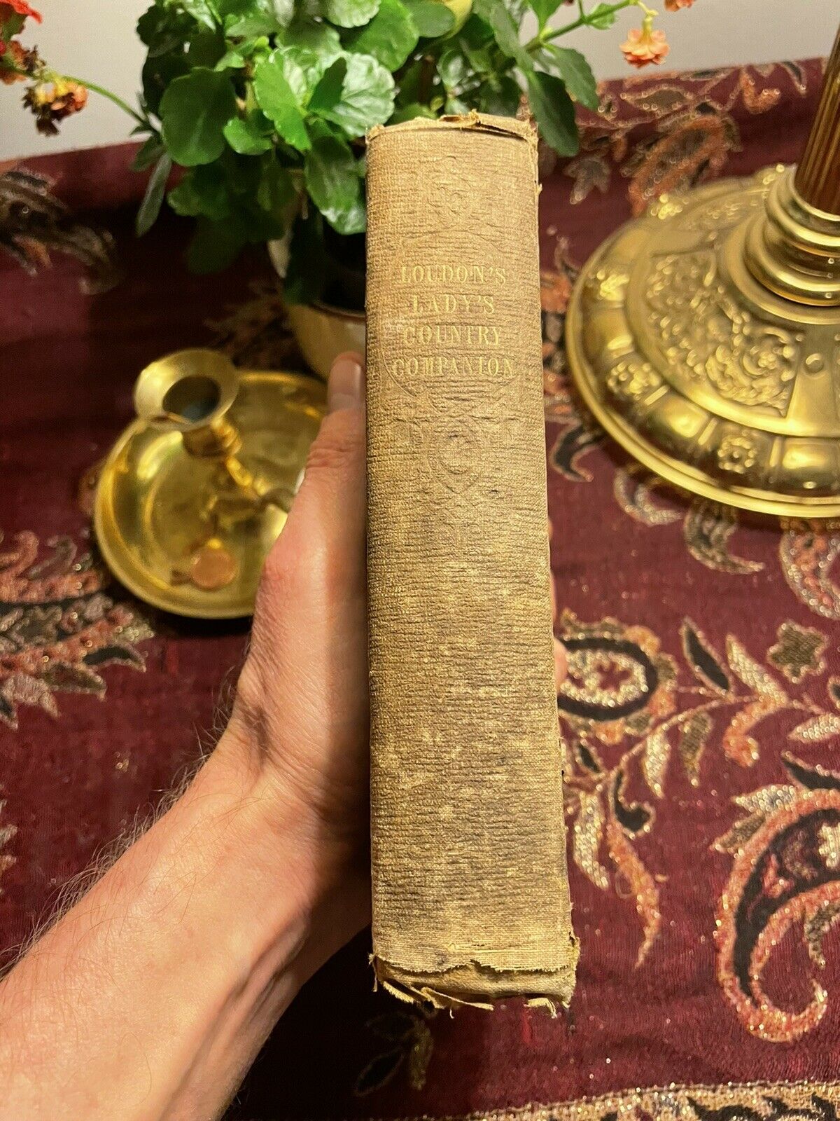 1852 MRS LOUDON Lady's Country Companion GARDENING Cooking DOMESTIC ANIMALS etc