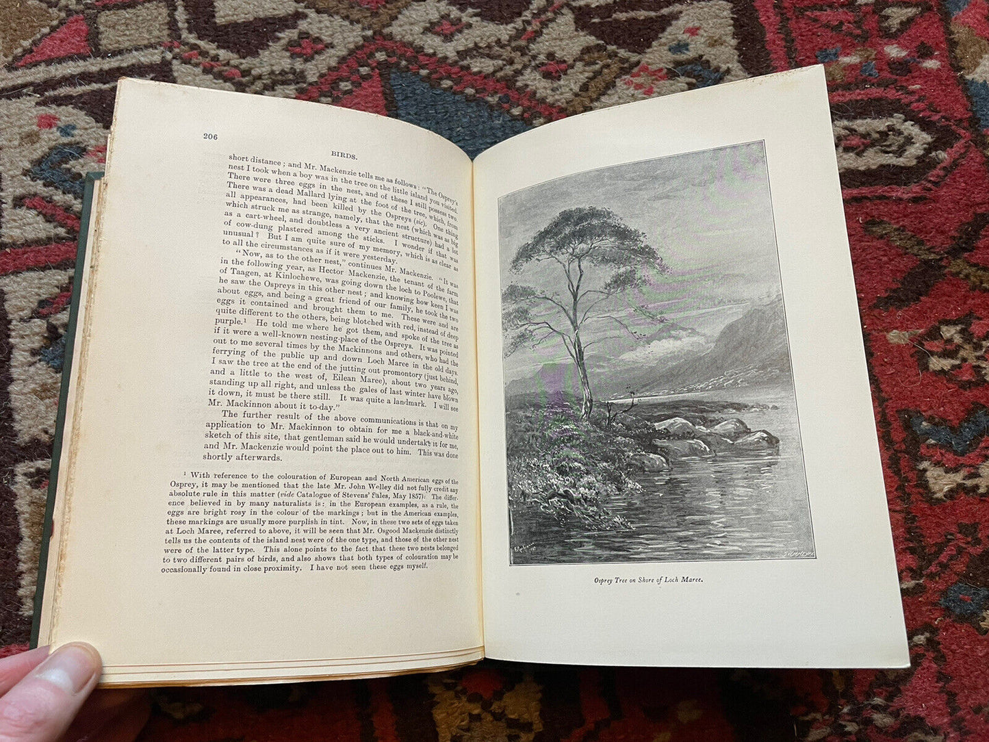 1904 A Fauna of the North-West Highlands & Skye : Harvie-Brown & Macpherson