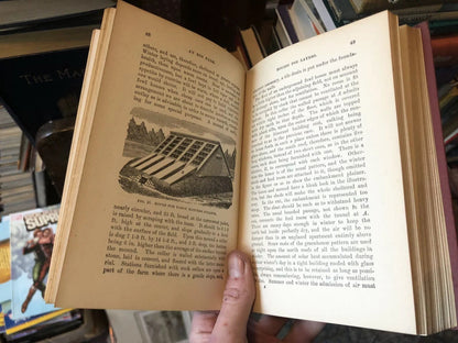 1915 Stoddard's THE NEW EGG FARM Poultry Farming - Chickens Coops - Brooders