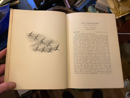 1935 A Vertebrate Fauna of Forth : Rintoul & Baxter : Bird Migration : Fishes